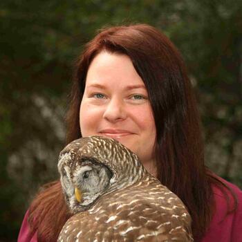 Beth lott audubon